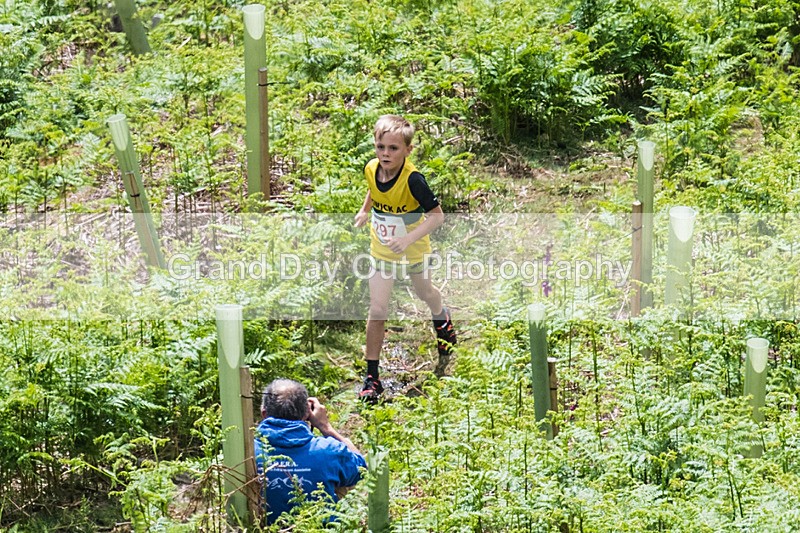 Coniston Juniors-6 - Coniston Gullies Junior Fell Races Sunday 25th May 2025