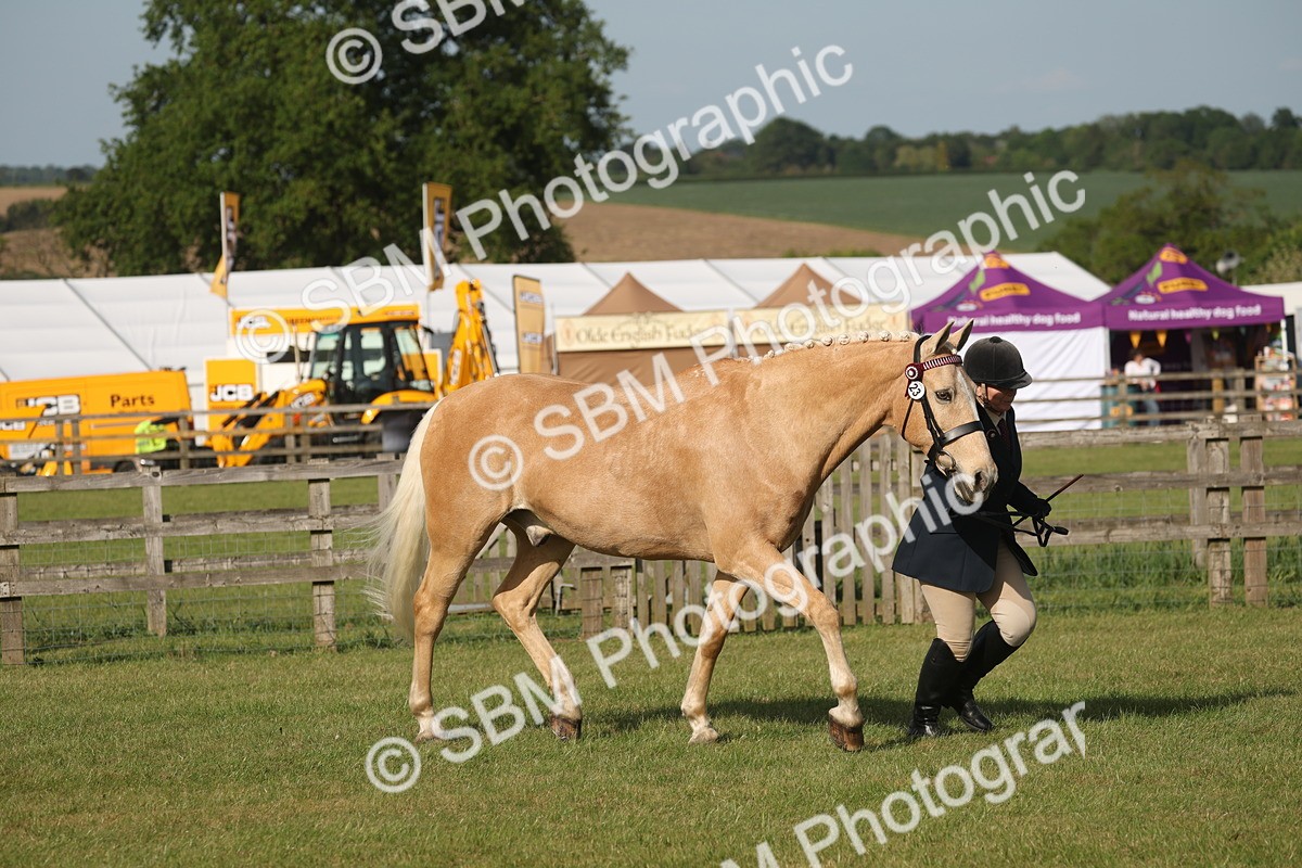SBM_10500 - Class 33-38 - SSADL RIHS Qualifiers