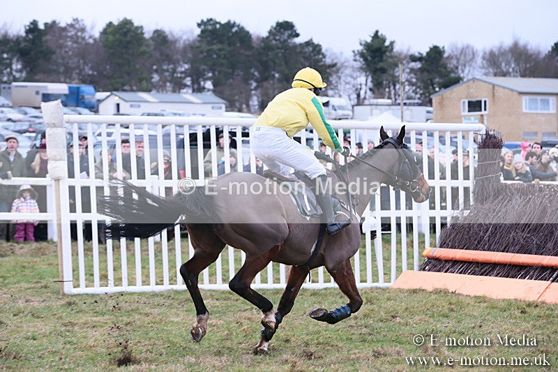 PtP 230119 93 - Royal Artillery Point-to-Point  - Larkhill  - 26/01/19