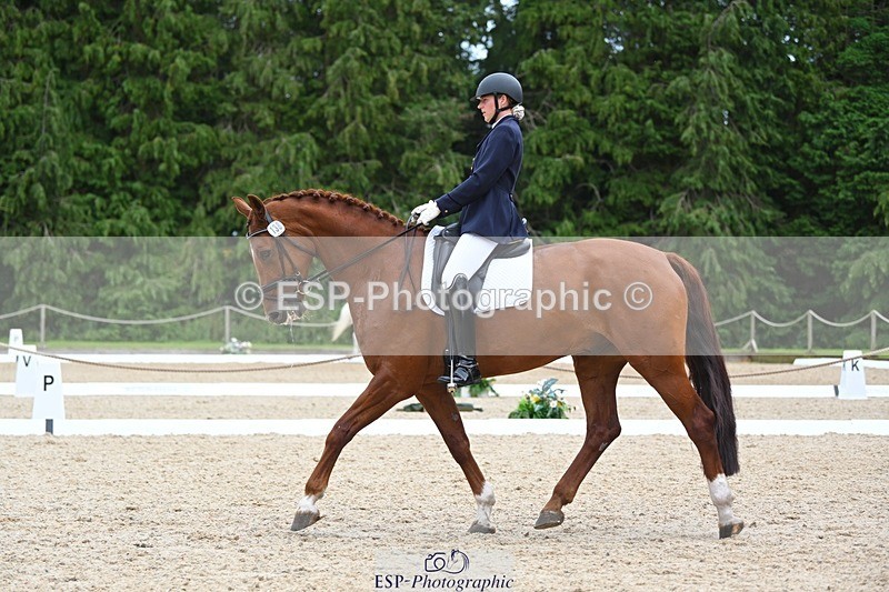 230813-135342-07632 - Cls 13 Medium Bronze 13.15 to End