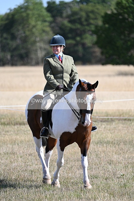 WJ7_3054 - Class 8 Ridden Tack & Turnout