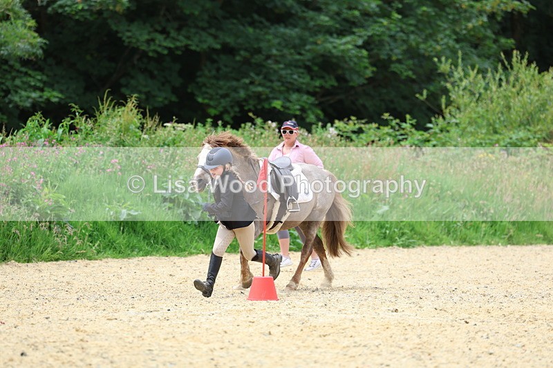 3E7A9388 - Walk trot run