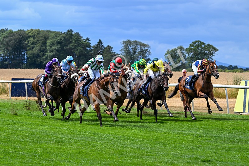 010826-Race 2-Witch Hunter-2249 - Race 2 14.08pm William Hill Summer Cup Handicap