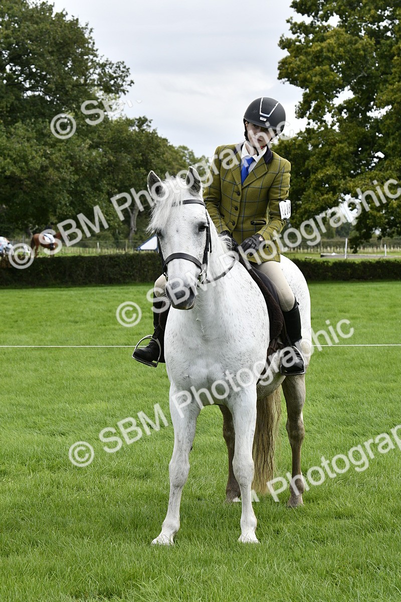 SBM_41628 - S32 - Mountain & Moorland Working Hunter Pony