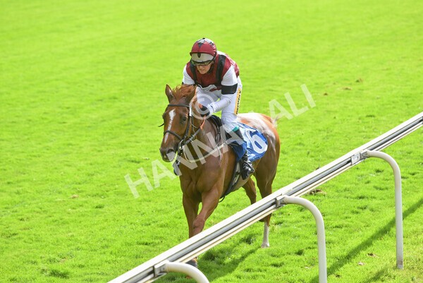 yr24092021r1-156 - Race 1 1.10pm Ernest Cooper Macmillan Ride of Their Lives