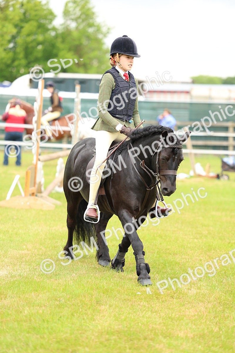 SBM_10321 - Class 44-45 - LIHS BSPS Open Nursery and Cradle Stakes