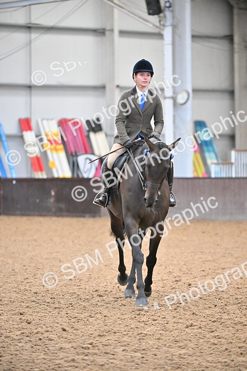 SBM_002353 - Class 22 - BSHA Ridden Hack & Riding Horse