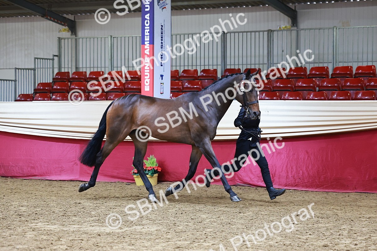 SBM_22247 - Class 902 - Supreme Final - IH Diamond