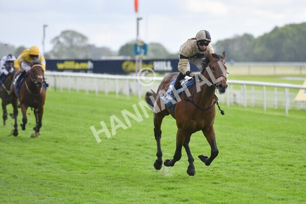 yr22052021r5-18 - Race 5 4.20pm William Hill EBF Novice Stakes (Plus 10 Race)