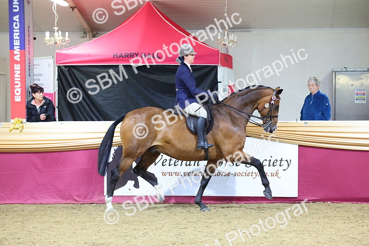 SBM_19134 - Class I Competition/ Riding Club Champ