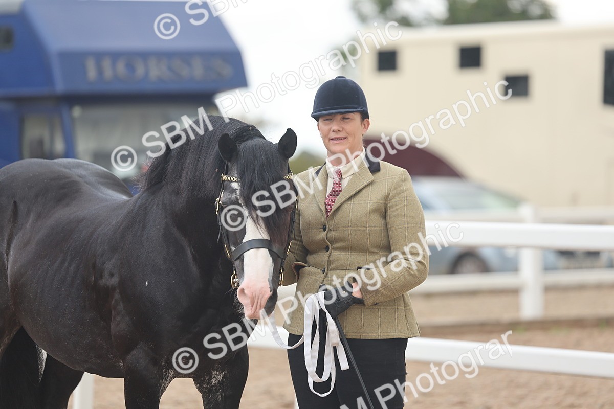 SBM_03285 - Class 16 - IH M&M Wildcard