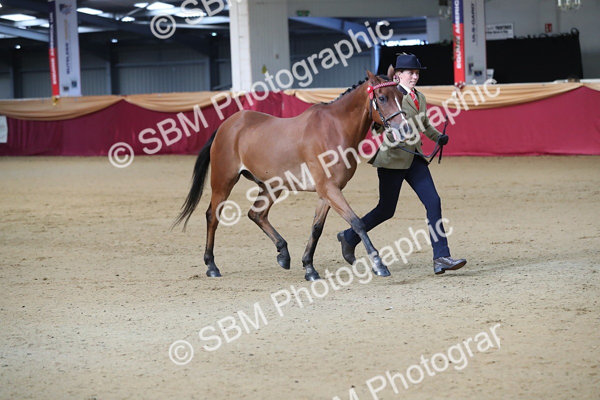 SBM_00270 - Class 1a - Area IH Diamond