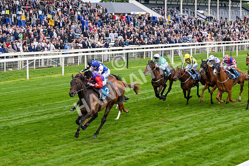 150526-Race 3-Warrant Holder-0176 - Race 3 2.55pm Support Macmillan Charity Raceday On 13 June Handicap