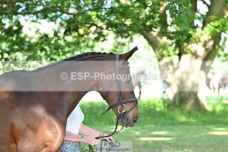 250521A-161129-00973 - C-208-Georgie.Frow-MBF.OLD.MEL