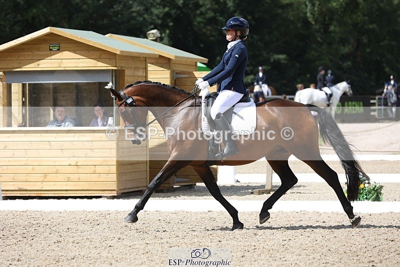230812-113640-03808 - Cls 5 Novice Bronze 11.15 to 12.50 break