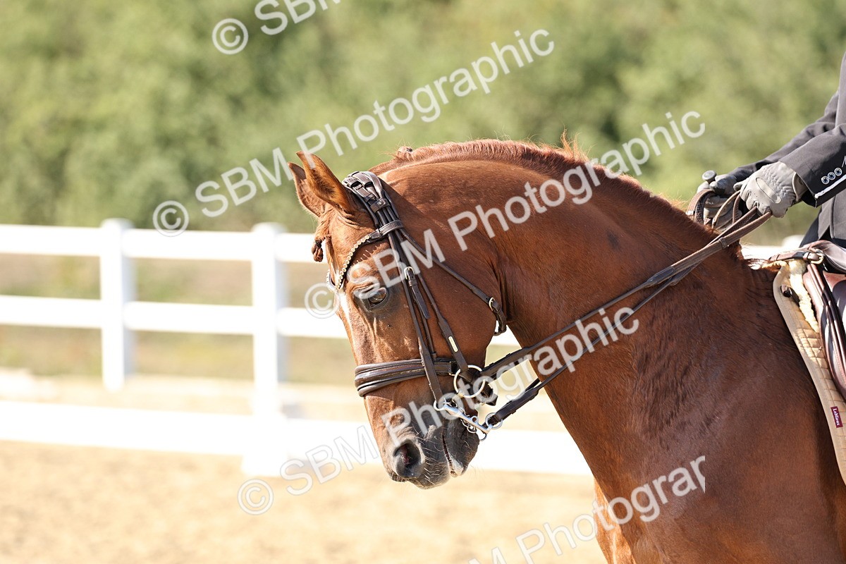 SBM_015355 - Class 9 - Advanced medium 3