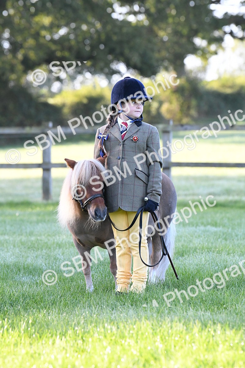 SBM_32675 - S15 - Condition & Turnout In Hand