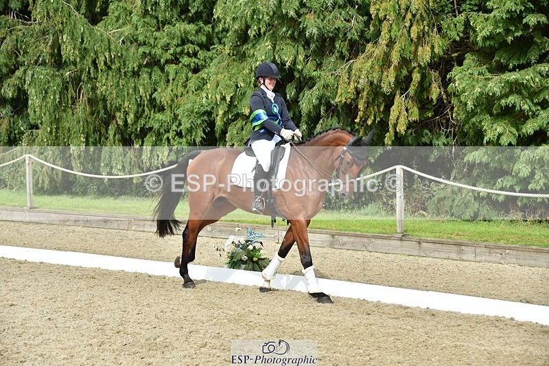 230812-160926-05432 - Novice Bronze Presentations