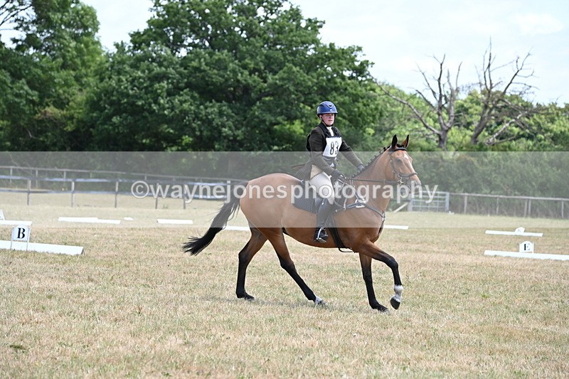 WJ6_4166 - Time 11:43 to 12:14