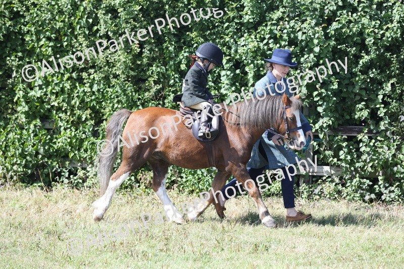 20250831-2611 - Class 17 - Lead Rein Pony