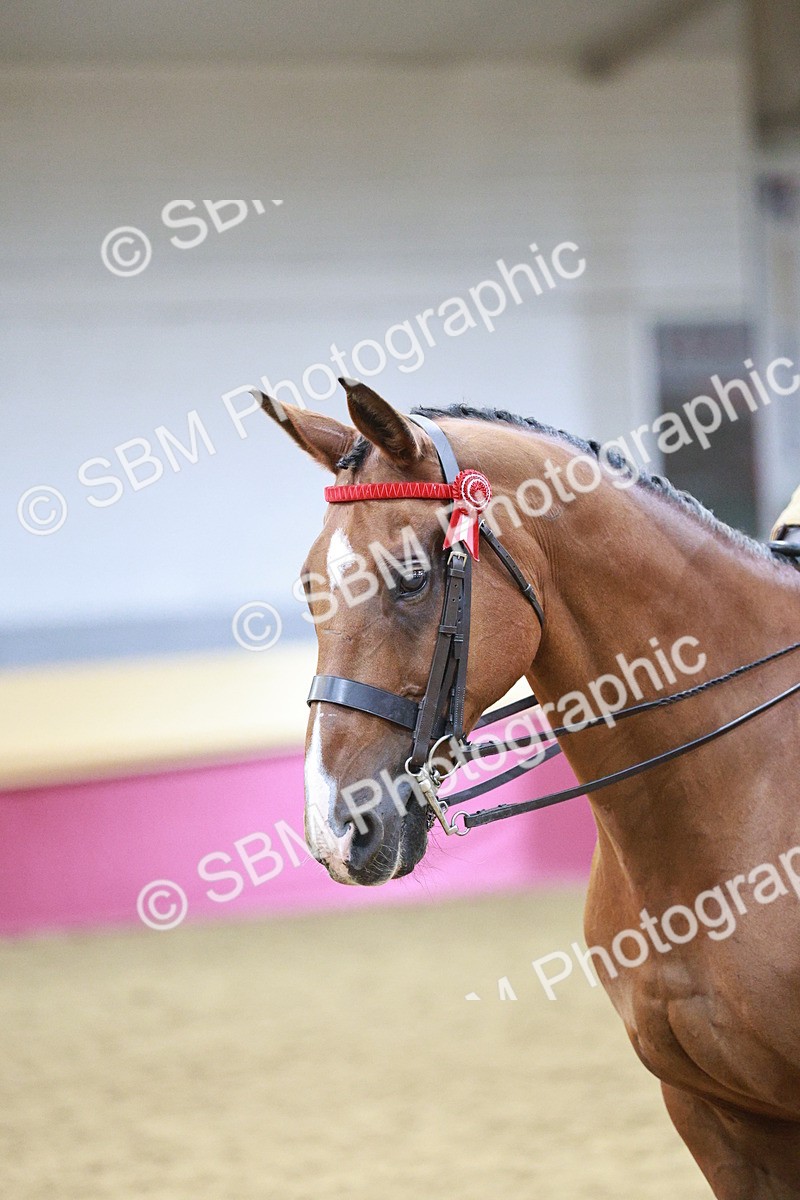 SBM_08180 - Class 11R - Regional Ridden Veteran