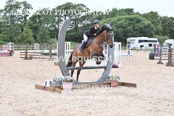 BPP_9166 - 80CM