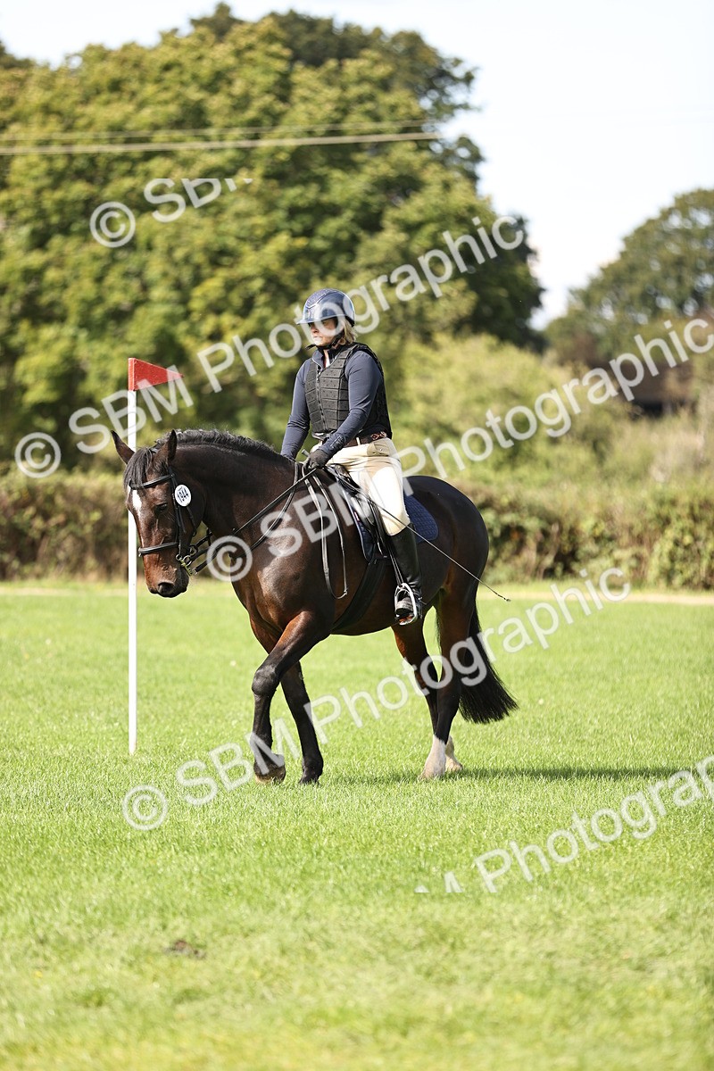 SBM_22893 - S4 - Have a Go at Working Equitation