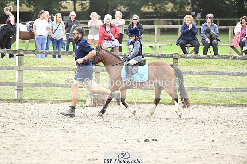 240822X-133605-08288 - 40cm LR R2 13.00 to 15.00