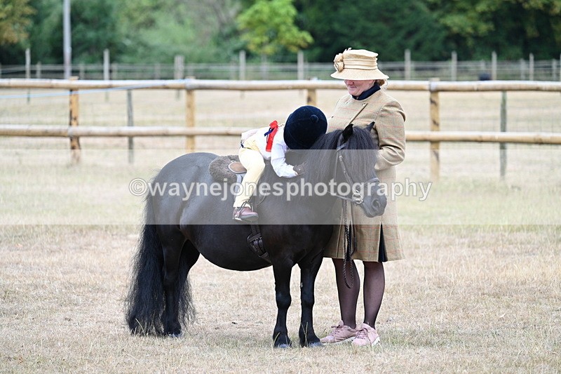 WJ7_8389 - Class 4 Prettiest Mare up to 14.2hh