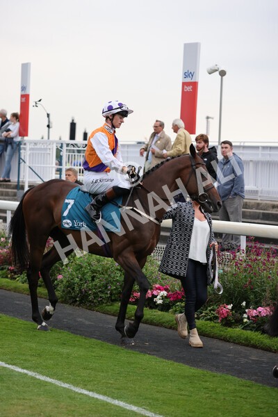 yr22072022r7-12 - Race 7 8.25pm The Sky Bet Go-Racing-In-Yorkshire Summer Festival Stakes