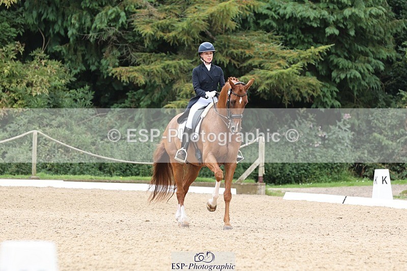 240810-133025-03323 - 188-Amanda.Towle.Shaw-Rockwood.Virtue