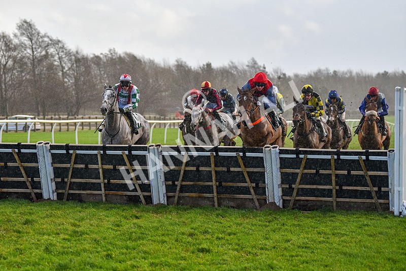 281223-Race 4-Lavida Adiva-2 - Race 4