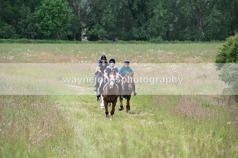 WJ6_8165 - Camera 1 Gallops