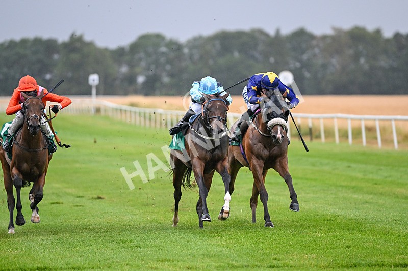 150725-Race 2-Dinamo-6662 - Race 2