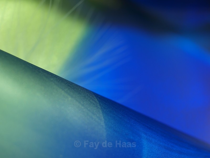 20130422_0188 - The Blues