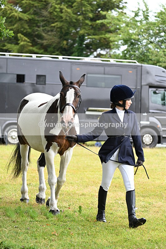 WJ7_6130 - Class 4a Prettiest Mare over 14hh