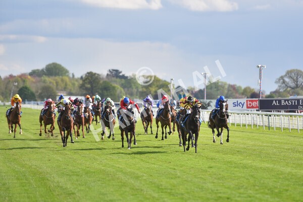 yr12052021r7-28 - Race 7 4.50 pm Conundrum HR Consulting Stakes