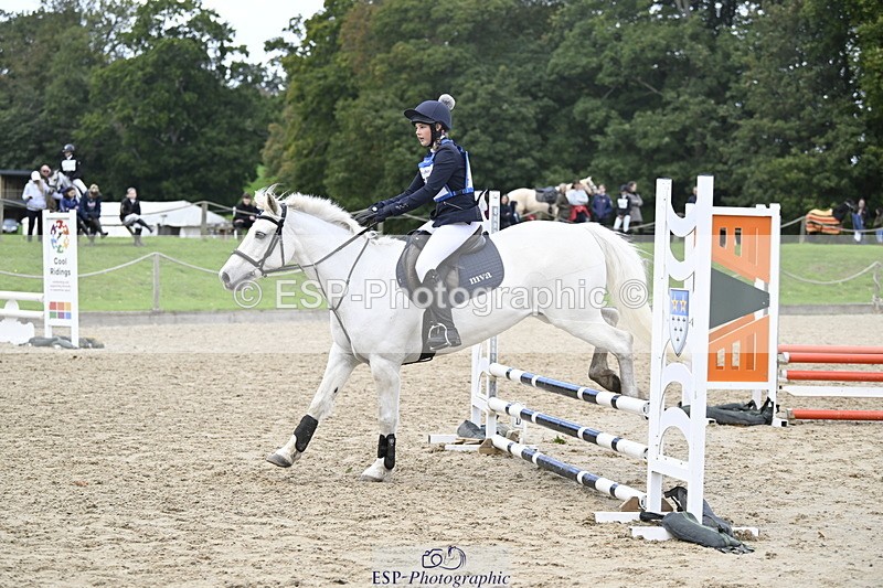 251005A-130712-04062 - Cls 08 Mini 70-75cm