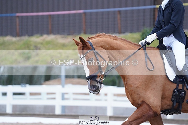 250214-101006-00092 - 182-Laima.Davies-Romero