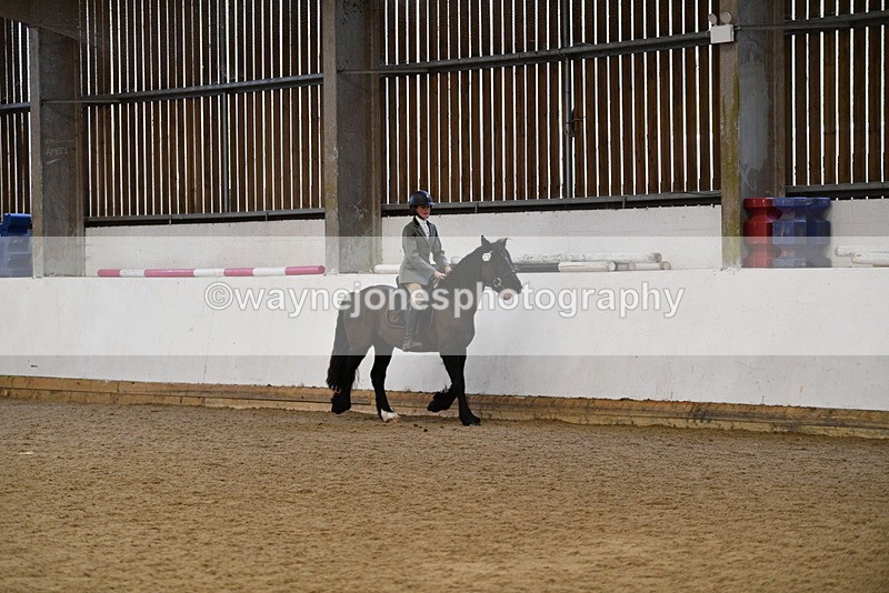 WJ5_7693 - Class 13 Ridden Part Breed