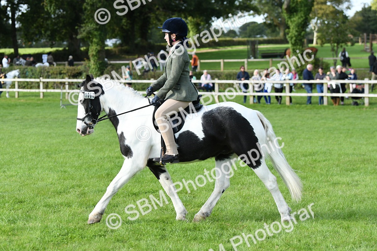 SBM_51838 - S21 - Novice & Newcomers 1st Ridden Pony