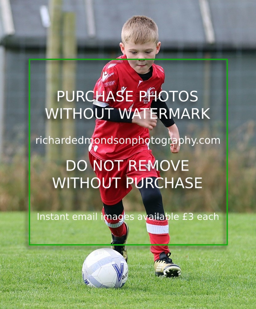 IMG_5305 - Wattsfield Under 8 vs Ibis Under 8 (12/10/24)