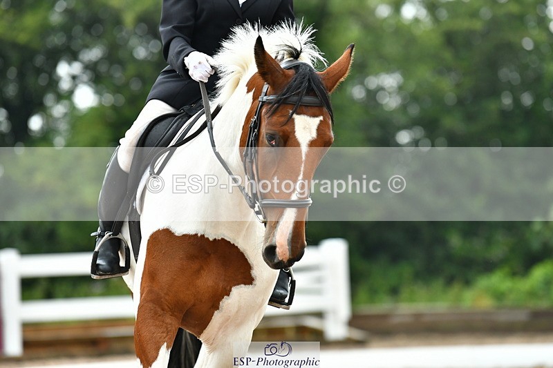 230708A-140545-03357 - Prelim 14