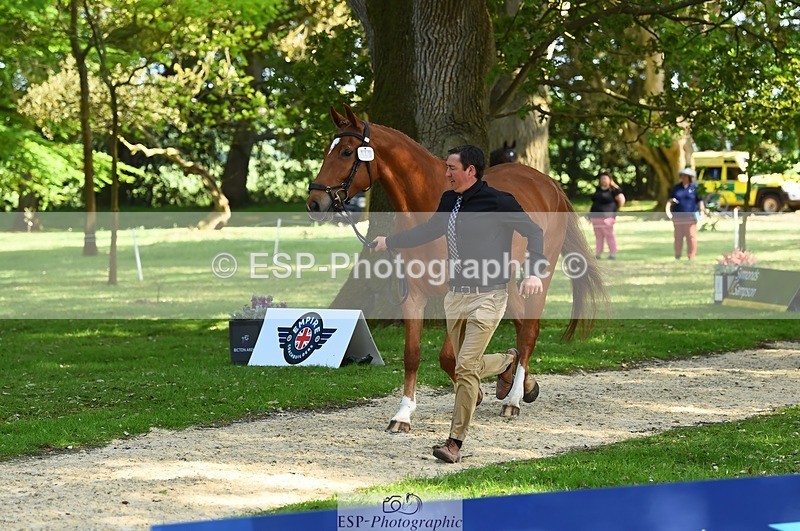 230524-164054-01018 - 111-CREEVAGHSTABLES_IFICUDIWUD-Tim_Cheffings-WEDTrotUp+DR