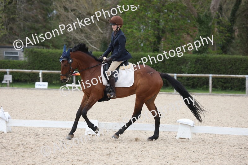 20260404-1003 - Class 6 - Novice 3