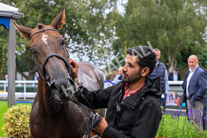 290826-Race 5-Supreme Clarets-7513 - Race 5 4.10pm Churchill Tyres Handicap