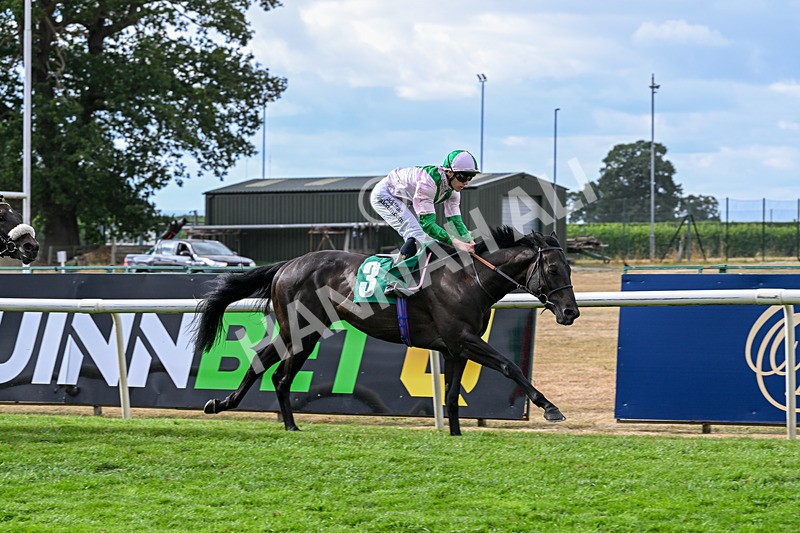 010826-Race 6-La Peregrina-3352 - Race 6 16.22pm Vision PVC Carlton Miniott Thirsk Handicap
