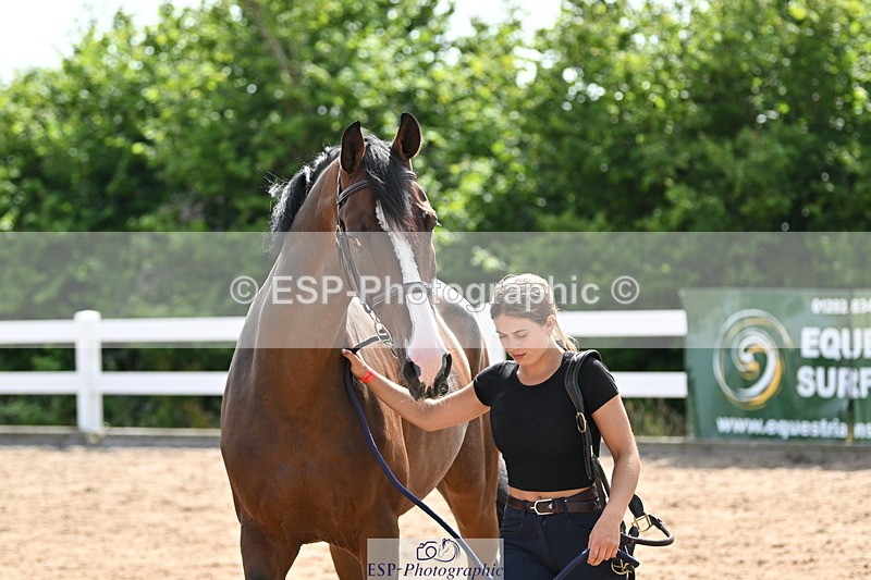 240717A-155637-03211 - Trot Up 3pm to 4pm