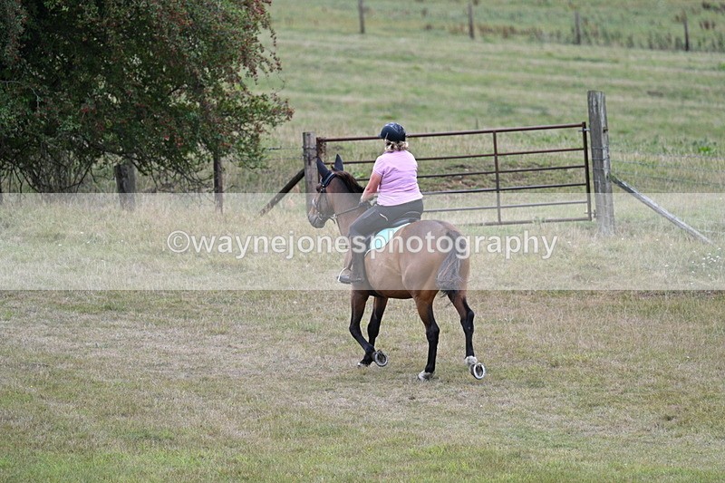 WJ7_6162 - Time 11:50 to 12:09