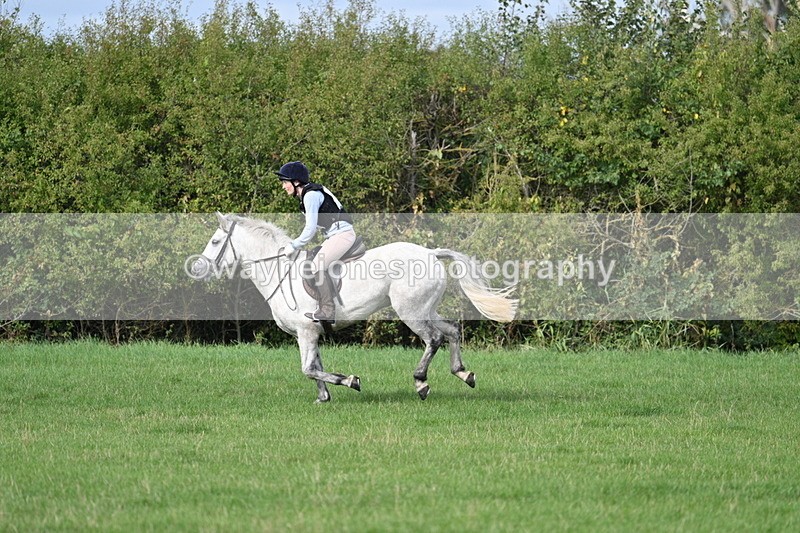 WJ7_8453 - 60cm Pairs